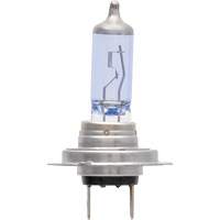 H7 SilverStar&reg; zXe Headlight Bulb, Halogen/HID, 56 W, White Sécurité Médic
