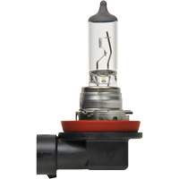 H8 Basic Headlight Bulb, Halogen, 35 W, Off White Sécurité Médic