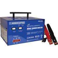 Intellamatic&reg; 12 Volt Charger, Analyzer & Power Supply Sécurité Médic
