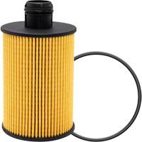 P40147 &eacute;l&eacute;ment filtrant pour l'huile Sécurité Médic