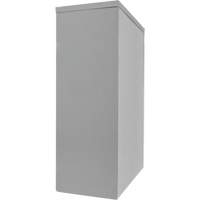 Counter-High Storage Cabinet, Steel, 2 Shelves, 42" H x 48" W x 24" D, Grey Sécurité Médic