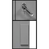 Counter-High Storage Cabinet, Steel, 2 Shelves, 42" H x 48" W x 24" D, Grey Sécurité Médic