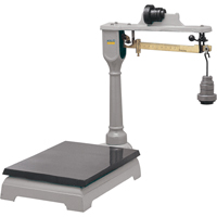 Mechanical Platform Beam Scales, 16" L x 12" W, 100 kg Capacity Sécurité Médic
