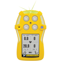 Personal Gas Detectors