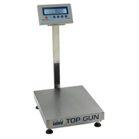 Platform Scales