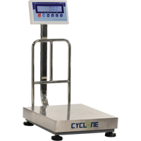 Cyclone 150 Bench and Platform Scale, 300 lbs. / 150 kg Capacity, 15-3/4" L x 19-7/10" W Sécurité Médic