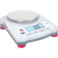 Balances d'établi