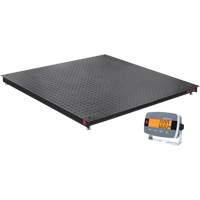 Balance de plancher DEFENDER 3000, Capacit&eacute; de 2500 lb, 48" la x 48" lo Sécurité Médic