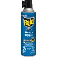 Insecticide contre les gu&ecirc;pes et les frelons Raid, 400 g, &agrave; base de solvant Sécurité Médic