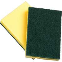 Sponges with Scouring Pad, Scrubbing, 4" W x 6" L Sécurité Médic