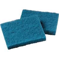 Tampon nettoyant pour batterie de cuisine antiadh&eacute;sive, &agrave; r&eacute;curer, 5-1/4" la x 4" l Sécurité Médic