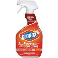 All-Purpose Disinfecting Cleaner Spray, 946 ml, Trigger Bottle Sécurité Médic