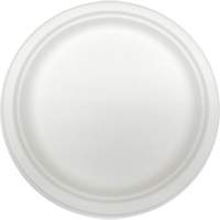 Molded Fiber Disposable Plates Sécurité Médic