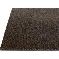 Palliser Indoor Matting, Wiper/Scraper, 6-1/2' x 82' x 5/16", Anglis Sécurité Médic
