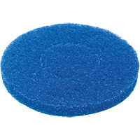 Floor Pad, Cleaning, Blue Sécurité Médic