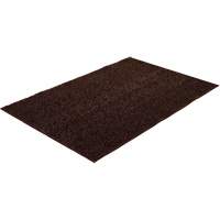 Astro-Turf Scraper Mat Sécurité Médic