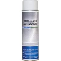 Stainless Steel Cleaner, 396 g, Aerosol Can Sécurité Médic
