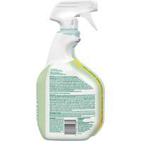 CloroxPro Clorox EcoClean Disinfecting Cleaner, 946 ml, Trigger Bottle Sécurité Médic