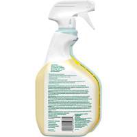 CloroxPro Clorox EcoClean All-Purpose Cleaner, 946 ml, Trigger Bottle Sécurité Médic