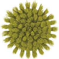 HyDrive Round Drill Brush, Extra Stiff Bristles, 3-1/10" Long, Yellow Sécurité Médic