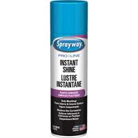 Pro Line Instant Shine for Plastic Surfaces, 11 oz., Aerosol Can Sécurité Médic
