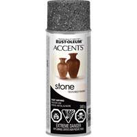 Accents&reg; Stone Creations Spray Paint, Aerosol Can, Grey Stone Sécurité Médic