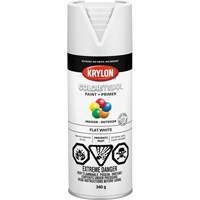 COLORmaxx Paint + Primer, White, Very Flat, 12 oz., Aerosol Can Sécurité Médic