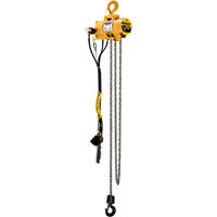 Budgit&reg; Air Chain Hoists Sécurité Médic