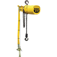 Budgit&reg; Series 6000 Air Hoists Sécurité Médic