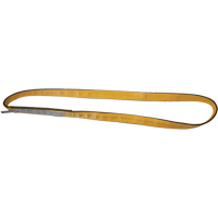 &eacute;lingues de levage en polyester, Pli Simple, Sans fin, Type 5, 1" la x 3' lo, Capacit&eacute; verticale 3200 lb Sécurité Médic