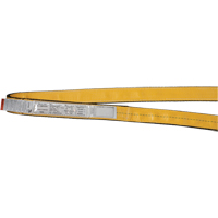 &eacute;lingues de levage en polyester, Pli Simple, Sans fin, Type 5, 1" la x 3' lo, Capacit&eacute; verticale 3200 lb Sécurité Médic