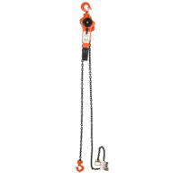 Lever Chain Hoist, 5' Lift, 3000 lbs. (1.5 tons) Capacity, Alloy Steel Chain Sécurité Médic