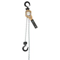Heavy Duty Gold Series Lever Chain Hoist, 10' Lift, 500 lbs. (0.25 tons) Capacity, Alloy Steel Chain Sécurité Médic