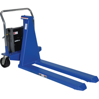 Electric Skid Lift, Steel, 2500 lbs. Capacity Sécurité Médic