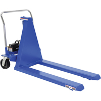 Electric Skid Lift, Steel, 2500 lbs. Capacity Sécurité Médic