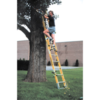 Industrial Heavy-Duty Extension Ladders (6200 Series), 375 lbs. Cap., 13' H, Grade 1AA Sécurité Médic