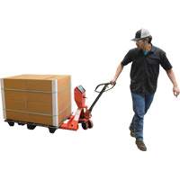 Pallet Truck, 48" L x 27.5" W, 5000 lbs. Cap. Sécurité Médic
