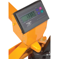 Digital Scale Pallet Truck, 27.5" L x 27.5" W, 5000 lbs. Cap. Sécurité Médic
