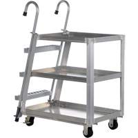Stockpicker Truck, Aluminum, 21-7/8" W x 40" D, 3 Shelves, 660 lbs. Capacity Sécurité Médic