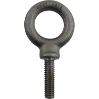 Alloy Steel Eye Bolt, 1" Dia., 1-1/4" L, 1480 lbs. (0.74 tons)/1480 lbs. Capacity Sécurité Médic