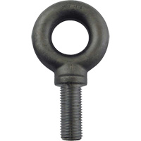 Alloy Steel Eye Bolt, 2-1/2" Dia., 3-1/2" L, 26600 lbs. (13.3 tons)/26600 lbs. Capacity Sécurité Médic
