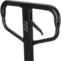 Quick-Lift Manual Pallet Truck, Steel, 48" L x 20.5" W, 5500 lbs. Capacity Sécurité Médic