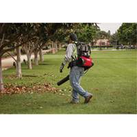 M18 FUEL Dual Battery Backpack Blower Kit, 18 V, 155 MPH Output, Battery Powered Sécurité Médic