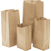 Paper Bags, Paper, 3-1/2" W x 6-3/4" L Sécurité Médic