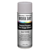 Industrial Work Day Paint, Grey, Very Flat, 10 oz., Aerosol Can Sécurité Médic