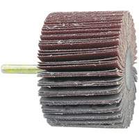 Shaft Mounted Flapwheel, 60 Grit, 1-1/2" x 1/4" Sécurité Médic