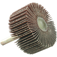 Mounted Flapwheel, 60 Grit, 2" x 1" x 1/4" Sécurité Médic