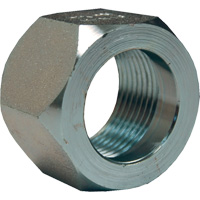 Dixon&reg; Mining Hex Nut, 1", Zinc Plated, NPT Thread Sécurité Médic