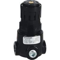 R&eacute;gulateur miniature R03 Wilkerson, 1/4" NPT, PSI max. de 300 psi, Standard Sécurité Médic