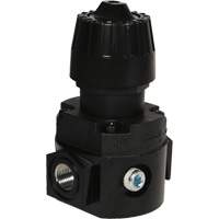R&eacute;gulateur compact R16 Wilkerson, 1/4" NPT, PSI max. de 300 psi, Standard Sécurité Médic